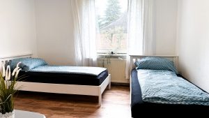 Zimmer3